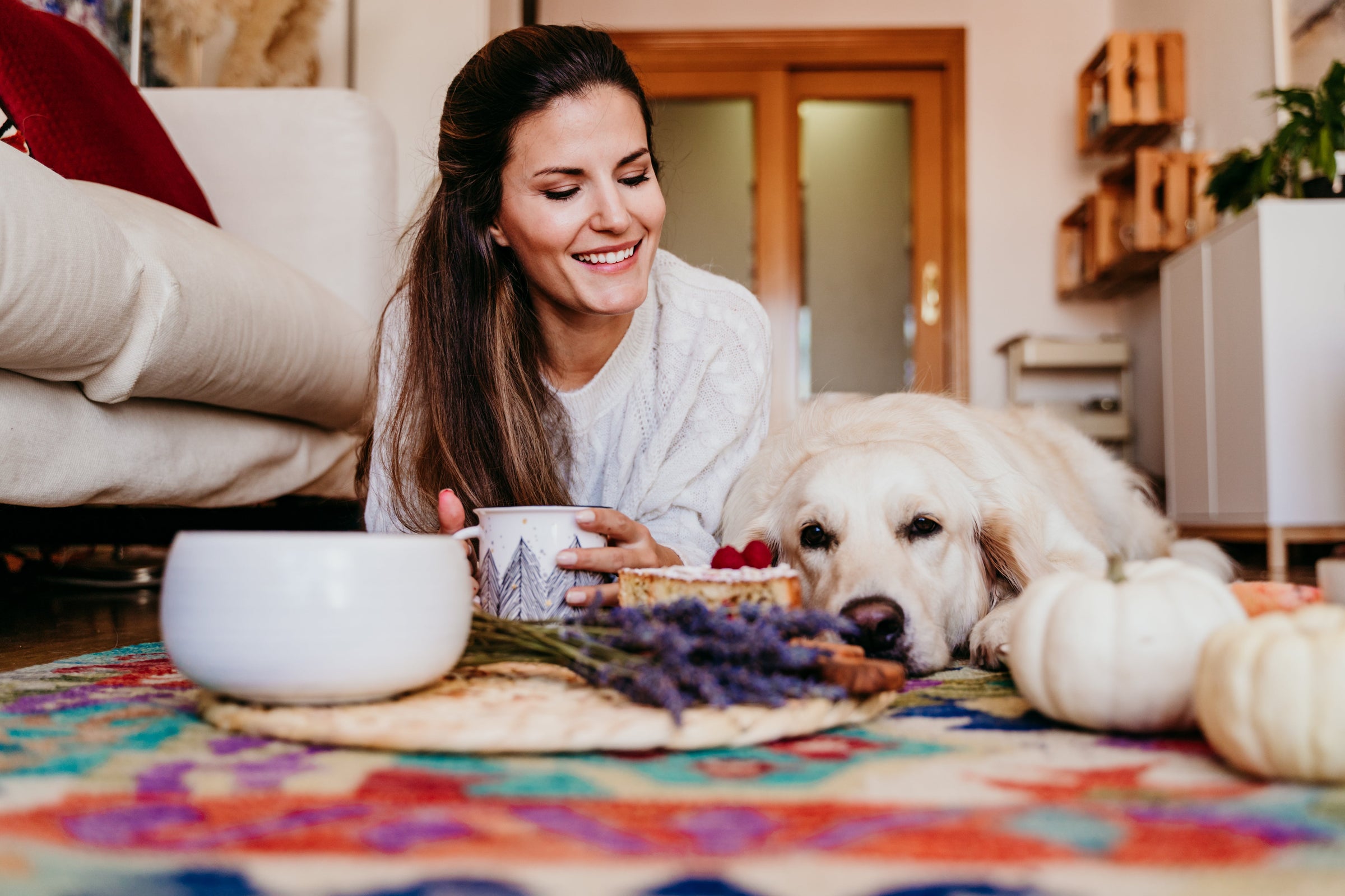 dog digestive health supplement