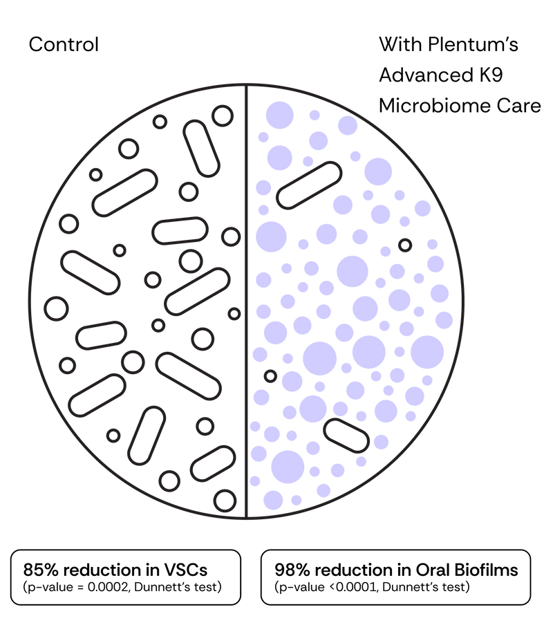 In Vitro Study Shown to Reduce Volatile Sulfur Compounds (VSC) and Disrupt Oral Biofilm by an average of 98%