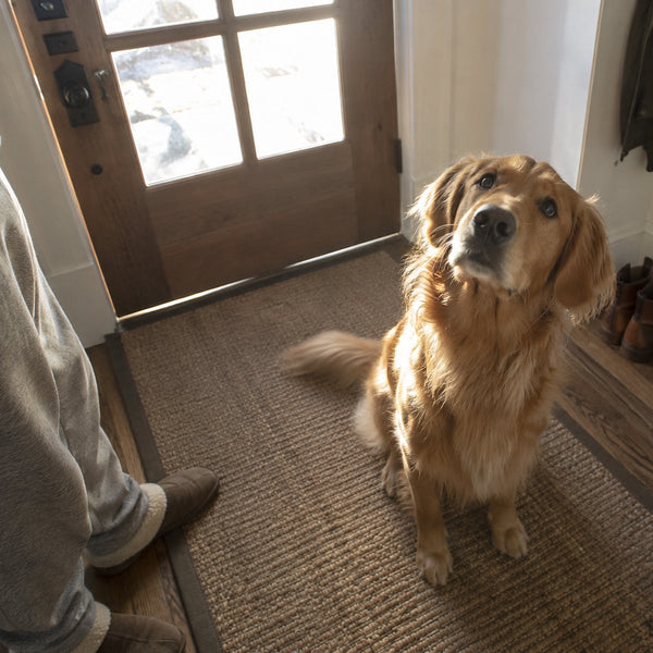 A golden retriever sits on an entry rug by the front door and looks up at the person standing beside it