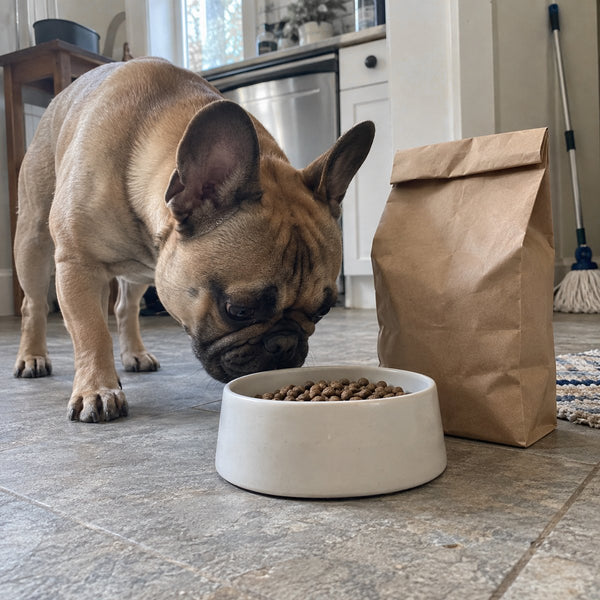 A French bulldog sniffs a bowl of kibble beside a paper bag of dog food