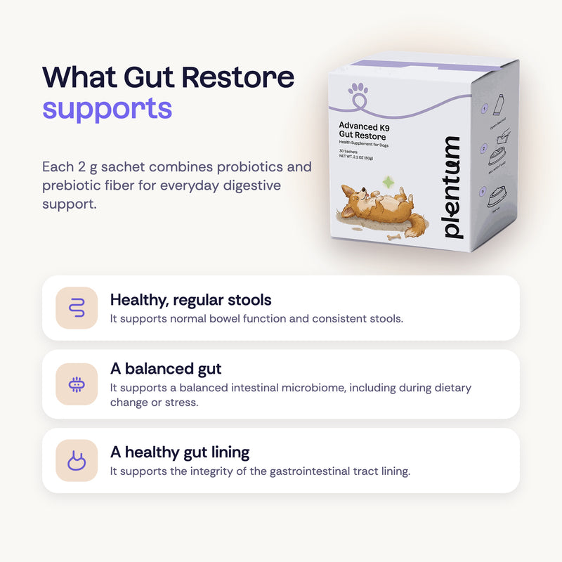 What Gut Restore supports: healthy, regular stools, a balanced gut, and a healthy gut lining