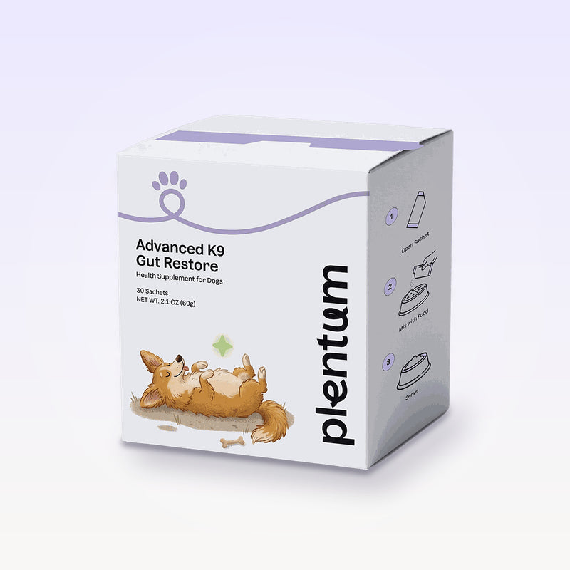 Plentum Advanced K9 Gut Restore dog supplement box, 30 sachets, with the corgi illustration