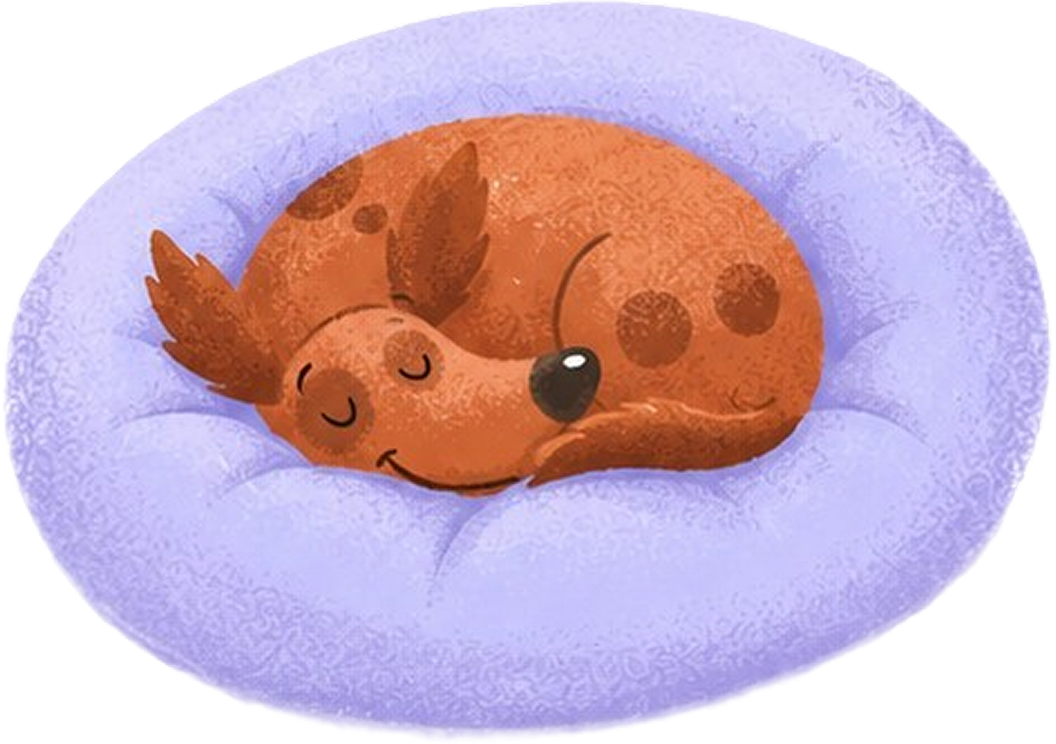 Calm sleeping dog