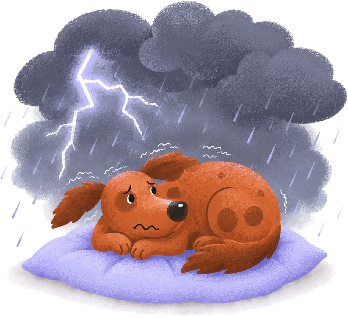 Anxious dog in a storm