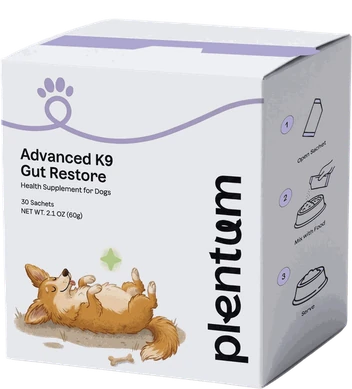 Advanced K9 Gut Restore box