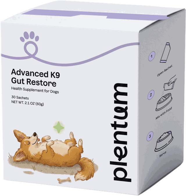 Advanced K9 Gut Restore box