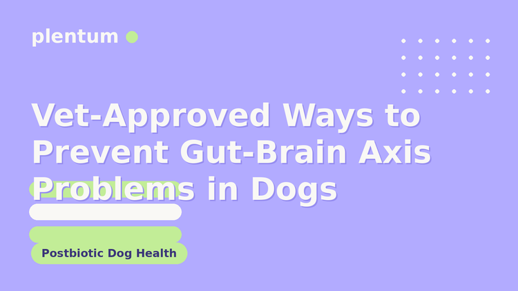 Plentum postbiotic dog supplement — Vet-Approved Ways to Prevent Gut-Brain Axis Problems in Dogs