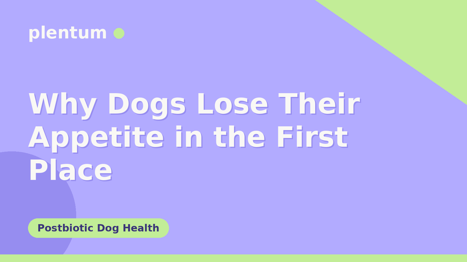 Plentum postbiotic dog supplement — Why Dogs Lose Their Appetite in the First Place