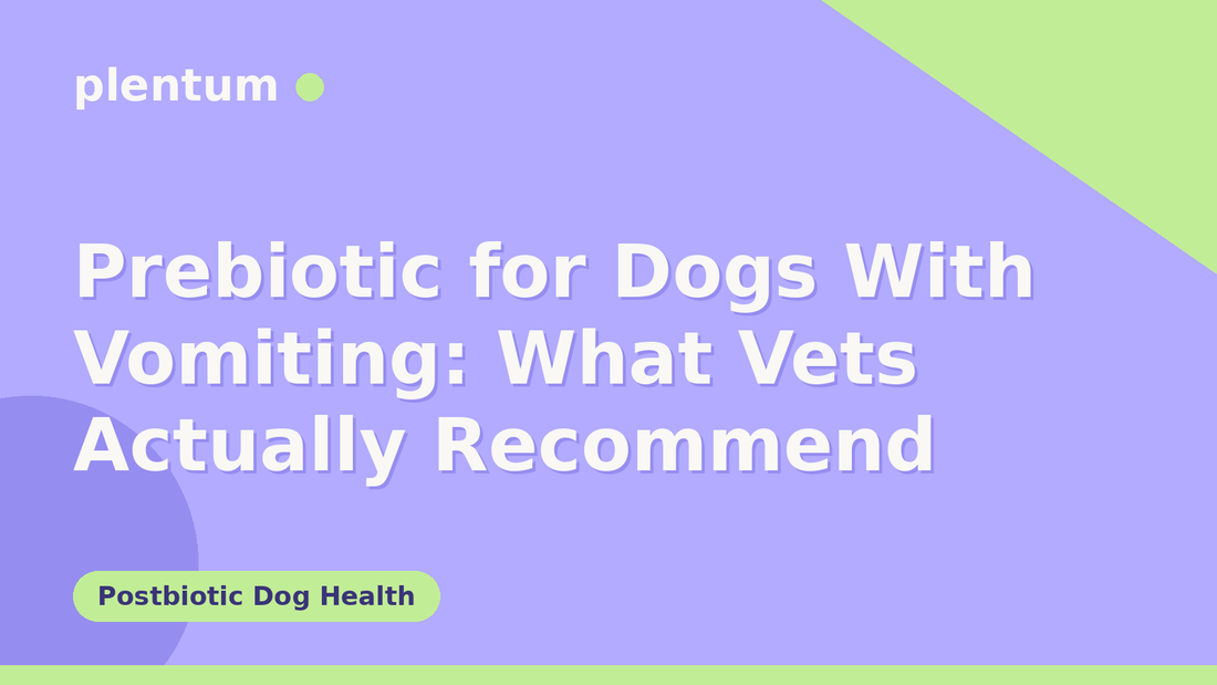 Plentum postbiotic dog supplement — Prebiotic for Dogs With Vomiting: What Vets Actually Recommend