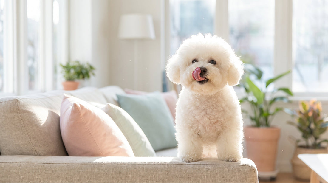 Best Supplement for Dog Bad Breath: What to Look For