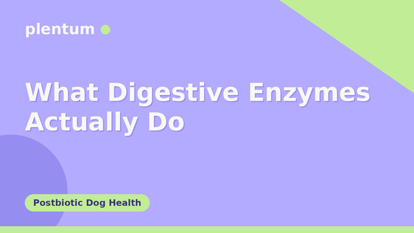 Plentum postbiotic dog supplement — What Digestive Enzymes Actually Do