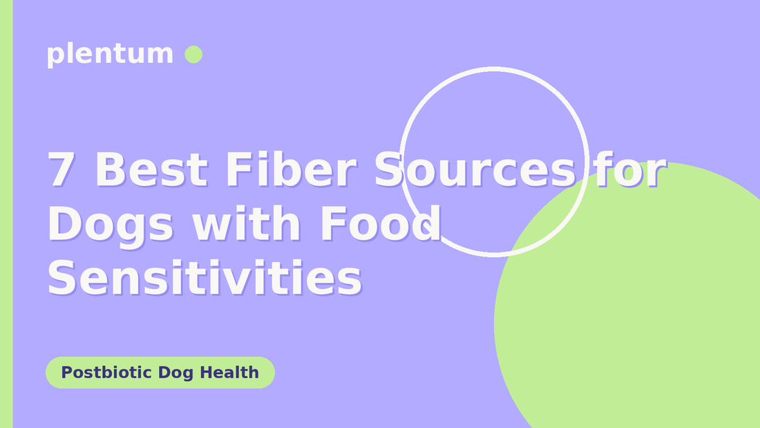 Plentum postbiotic dog supplement — 7 Best Fiber Sources for Dogs with Food Sensitivities