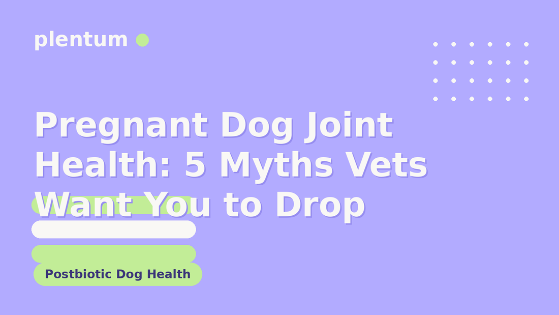 Plentum postbiotic dog supplement — Pregnant Dog Joint Health: 5 Myths Vets Want You to Drop