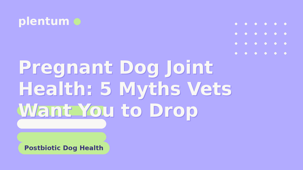 Plentum postbiotic dog supplement — Pregnant Dog Joint Health: 5 Myths Vets Want You to Drop