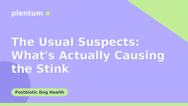 Plentum postbiotic dog supplement — The Usual Suspects: What's Actually Causing the Stink
