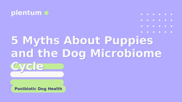 Plentum postbiotic dog supplement — 5 Myths About Puppies and the Dog Microbiome Cycle