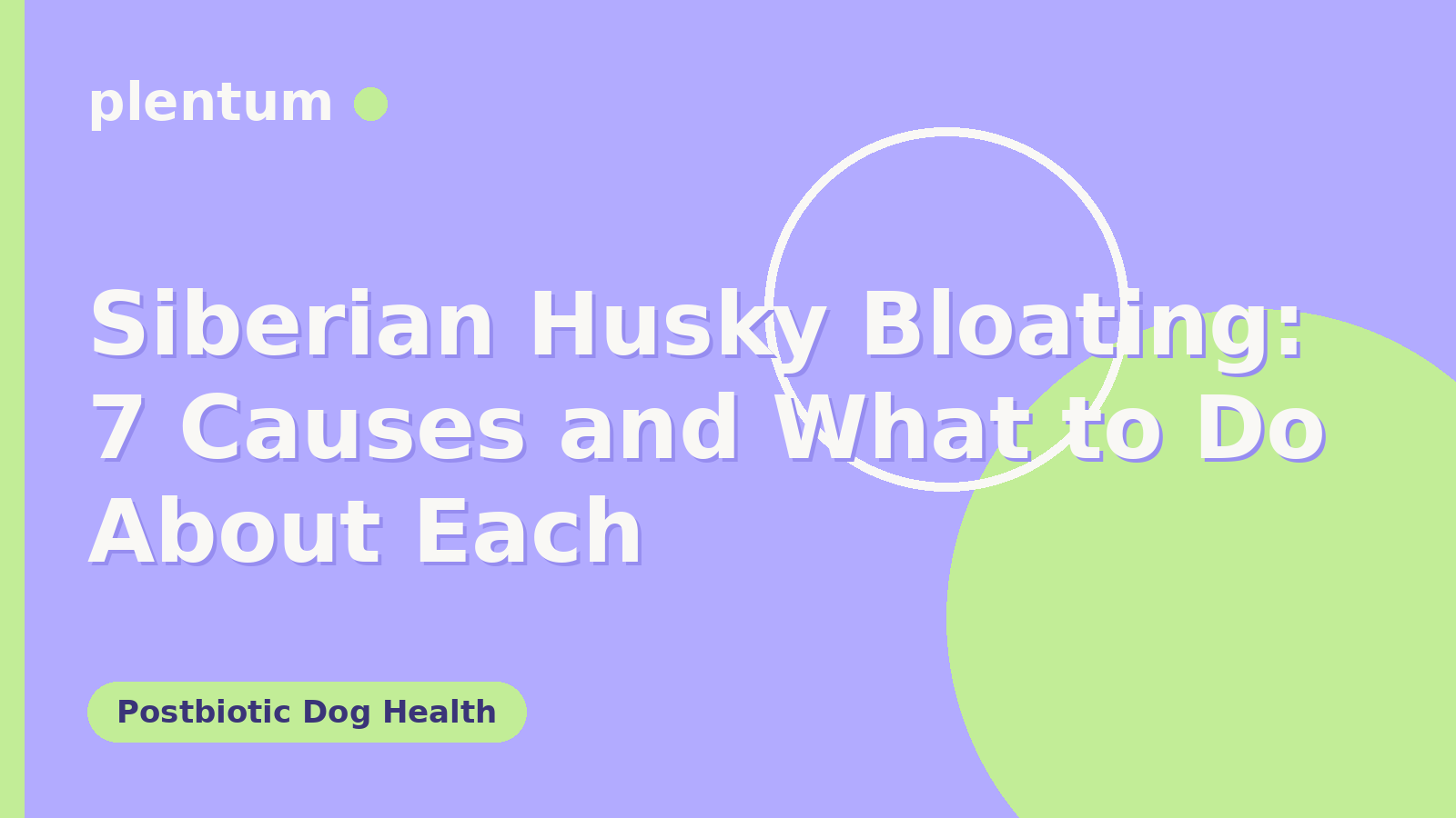 Plentum postbiotic dog supplement — Siberian Husky Bloating: 7 Causes and What to Do About Each