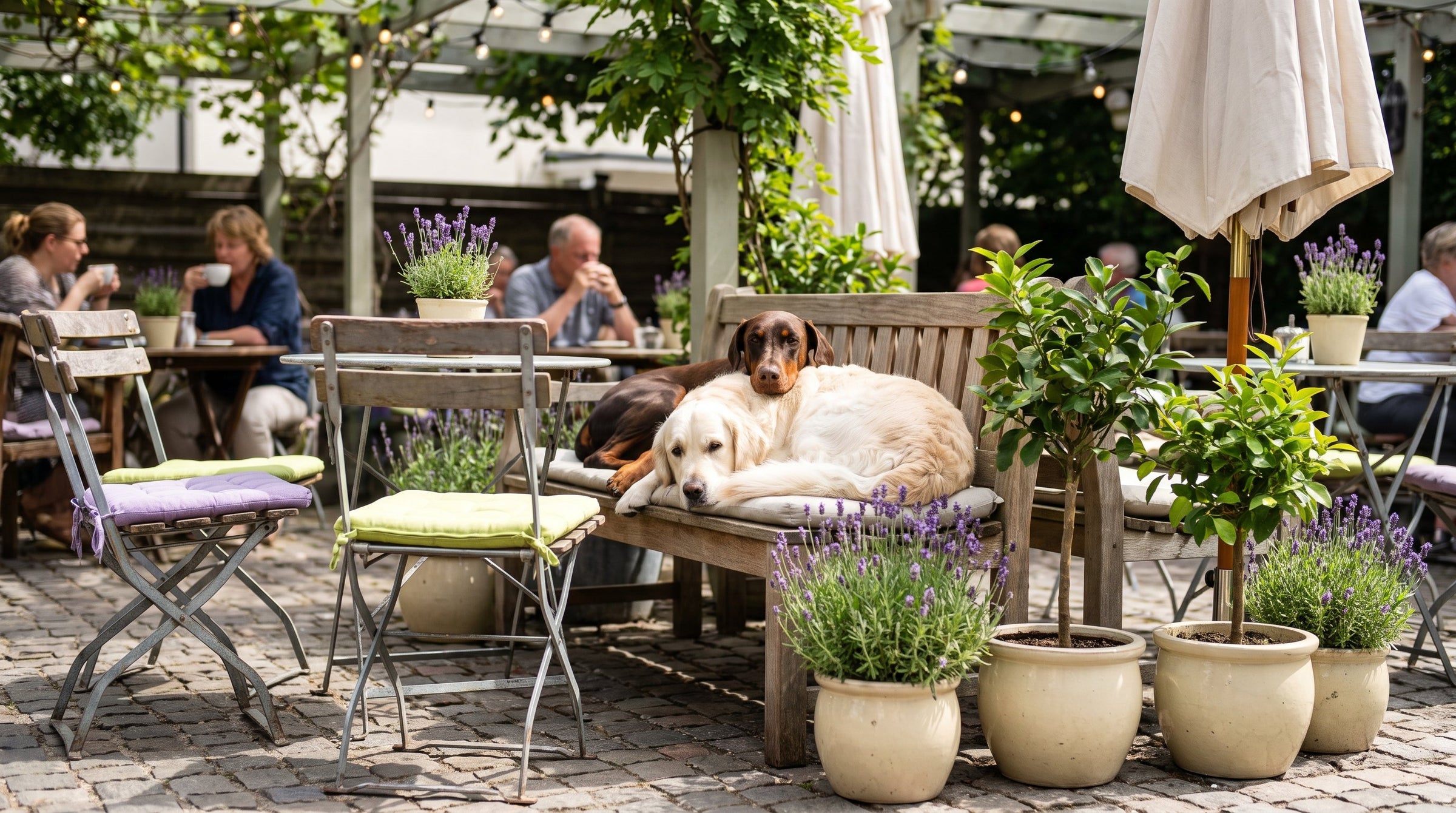 What Time of Day Should You Give Your Dog Gut Support?
