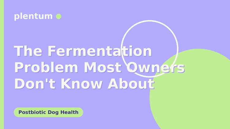 Plentum postbiotic dog supplement — The Fermentation Problem Most Owners Don't Know About