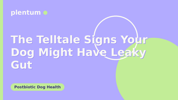 Plentum postbiotic dog supplement — The Telltale Signs Your Dog Might Have Leaky Gut