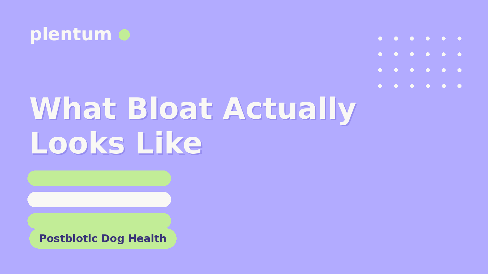Plentum postbiotic dog supplement — What Bloat Actually Looks Like