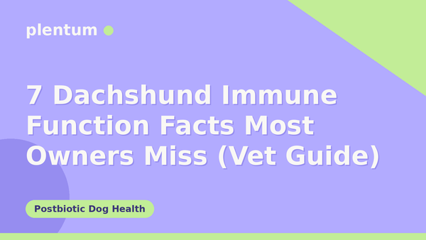 Plentum postbiotic dog supplement — 7 Dachshund Immune Function Facts Most Owners Miss (Vet Guide)