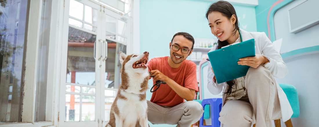 The Science Behind Dog Supplements: Do They Really Work?