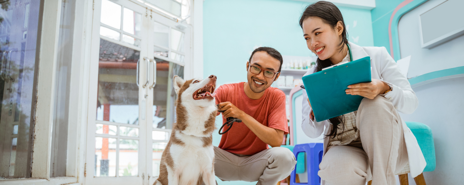 The Science Behind Dog Supplements: Do They Really Work?