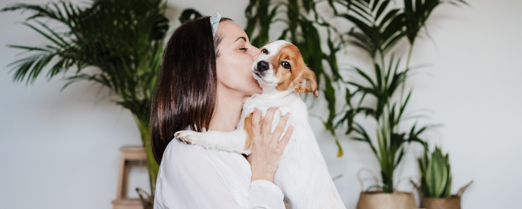 Dog Breath Smells Like Fish (or Ammonia/Metal)? Causes & Fixes