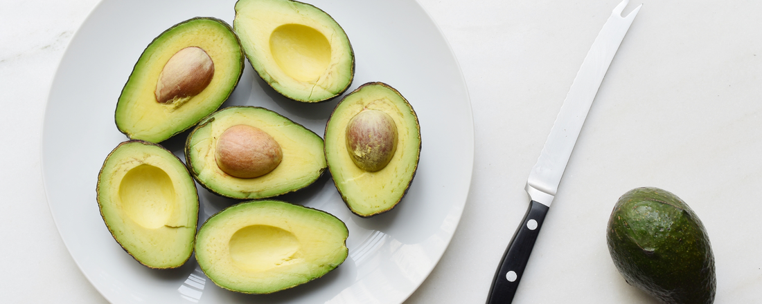 Can Dogs Eat Avocado