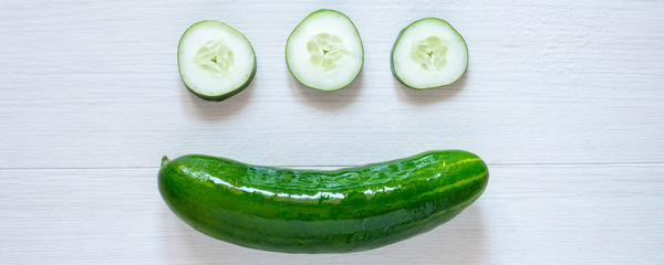 Can Dogs Eat Cucumbers