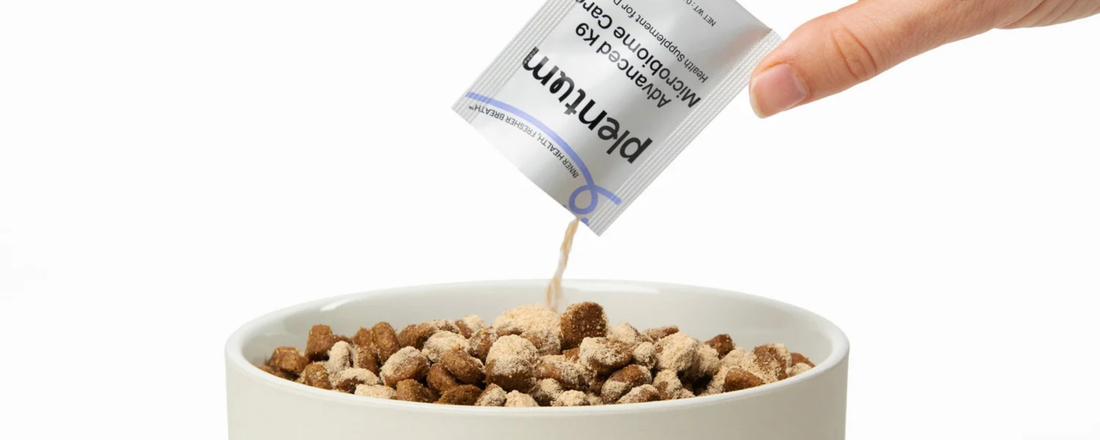 Daily Canine Dog Supplements