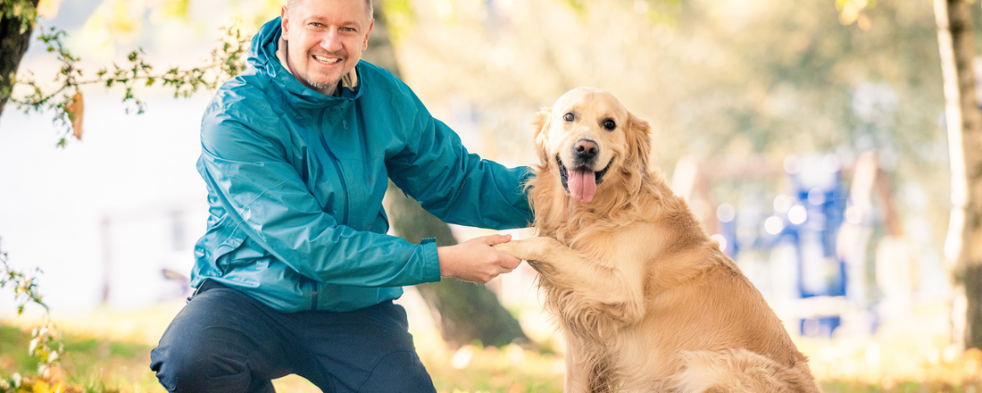 Dog Gut Support Supplements