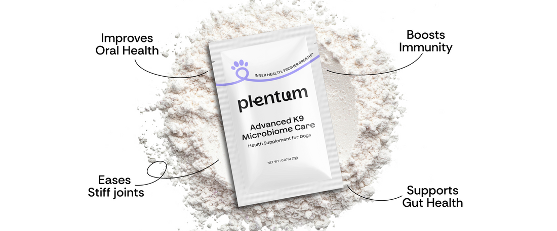 best all in one dog supplement