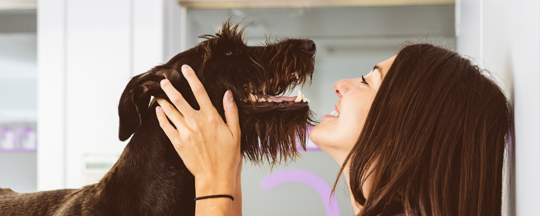 Fresh Breath for Dogs