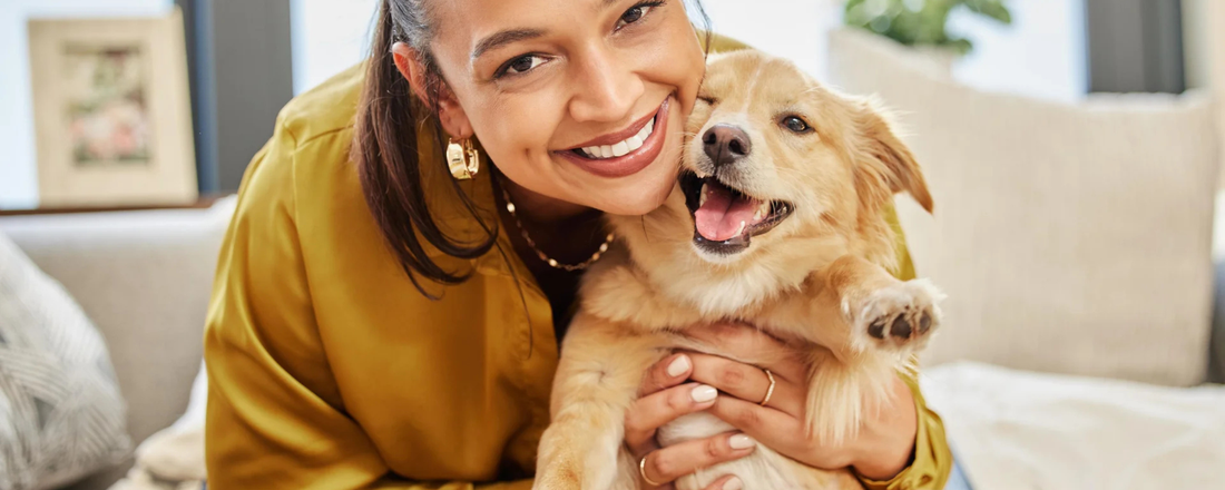 Future of Dog Wellness