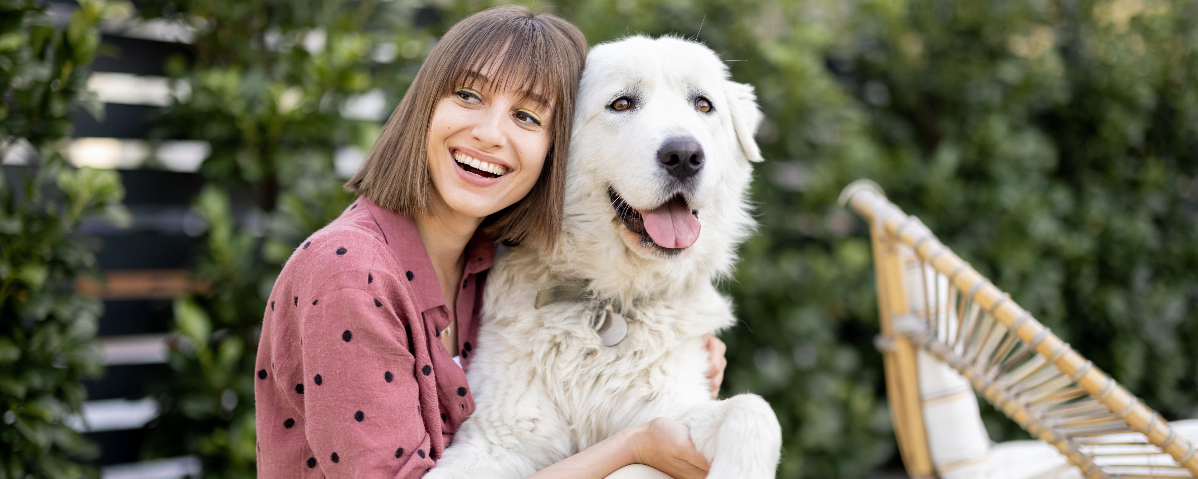 Omega-3 Benefits for Senior Dogs: Dosage Chart Included