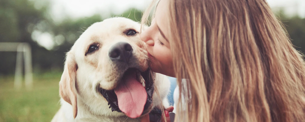 Symptoms of Poor Gut Health in Dogs