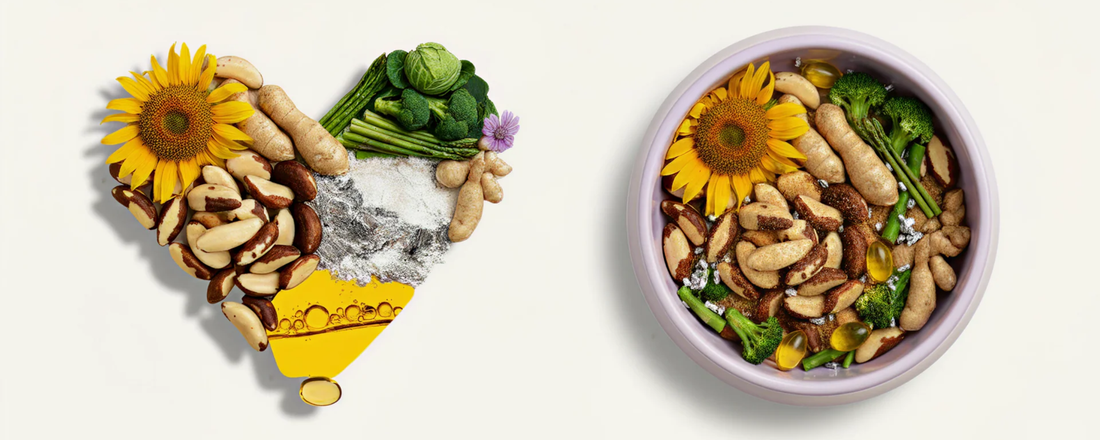 Top 9 Ingredients to Look For in Your Dog’s Supplement