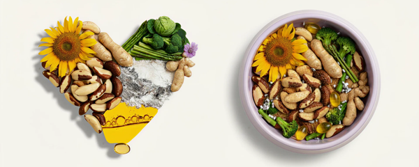 Top 9 Ingredients to Look For in Your Dog’s Supplement