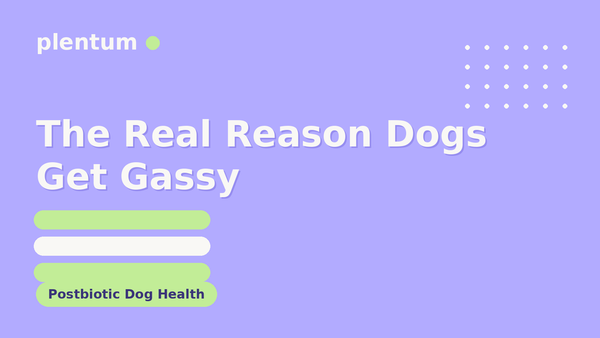 Plentum postbiotic dog supplement — the real reason dogs get gassy