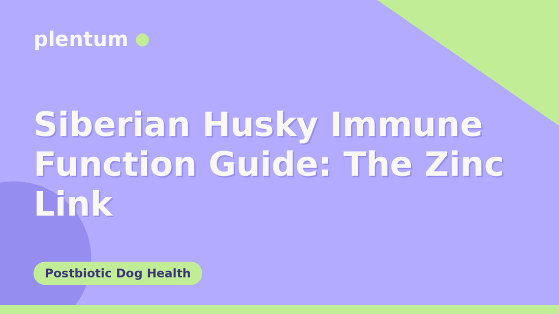 Plentum postbiotic dog supplement — Siberian Husky Immune Function Guide: The Zinc Link