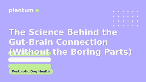 Plentum postbiotic dog supplement — The Science Behind the Gut-Brain Connection (Without the Boring Parts)