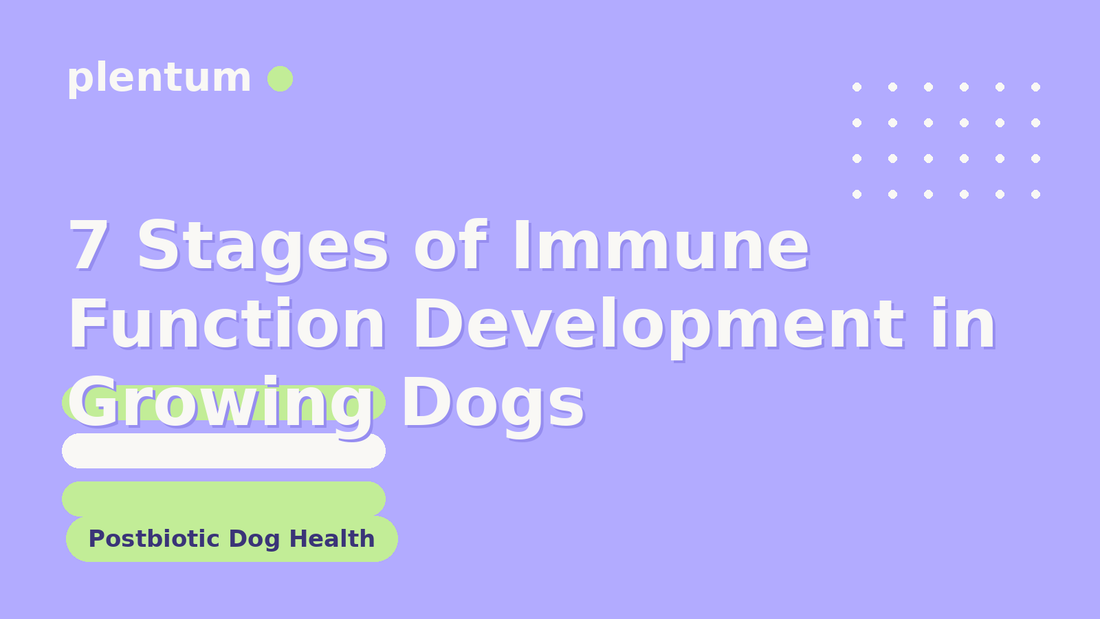 Plentum postbiotic dog supplement — 7 Stages of Immune Function Development in Growing Dogs