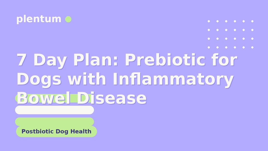 Plentum postbiotic dog supplement — 7 Day Plan: Prebiotic for Dogs with Inflammatory Bowel Disease