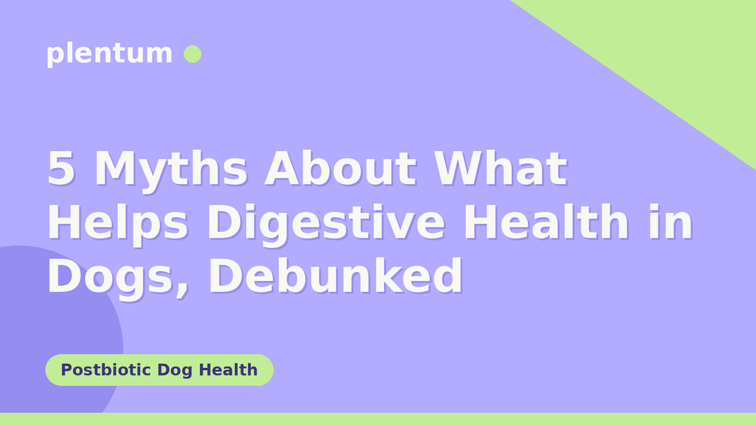 Plentum postbiotic dog supplement — 5 Myths About What Helps Digestive Health in Dogs, Debunked