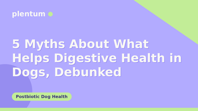 Plentum postbiotic dog supplement — 5 Myths About What Helps Digestive Health in Dogs, Debunked