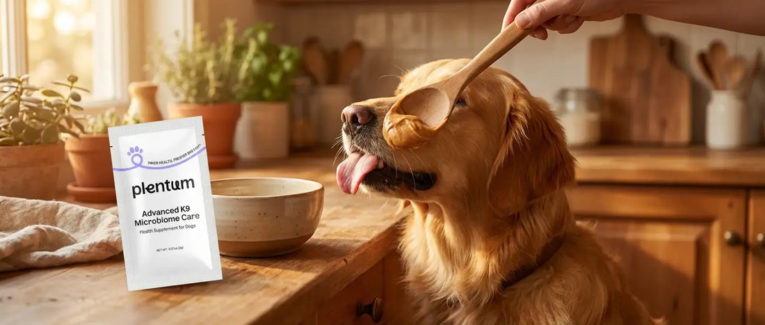 Can Dogs Eat Peanut Butter? Xylitol Warning + Safe Brands