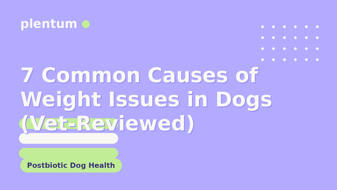 Plentum postbiotic dog supplement — 7 Common Causes of Weight Issues in Dogs (Vet-Reviewed)