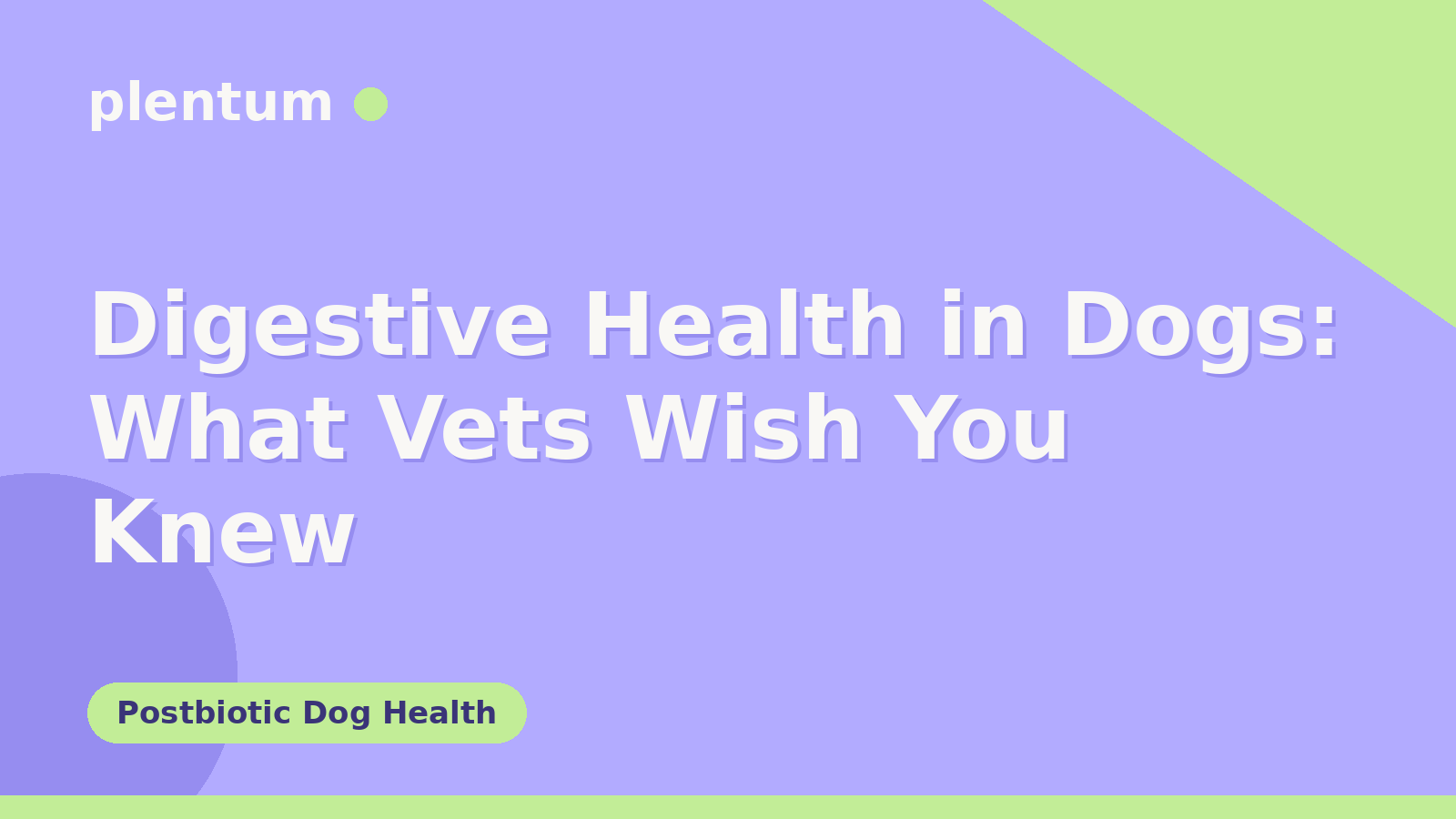 Plentum postbiotic dog supplement — Digestive Health in Dogs: What Vets Wish You Knew